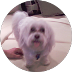 Profile photo of davidboehler56