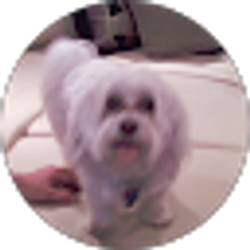 Profile photo of davidboehler56