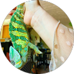 Profile photo of Brittany Collett