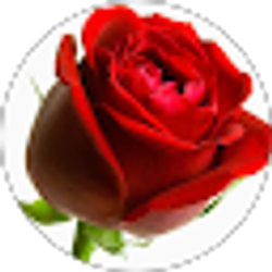 Profile photo of Preeti Thakkar