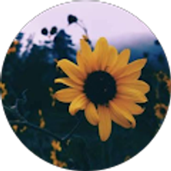 Profile photo of Jordan Cooke