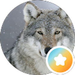Profile photo of Edgy wolf dad