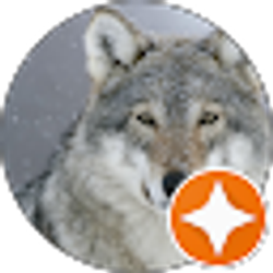 Profile photo of Edgy wolf dad