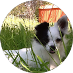 Profile photo of Samantha Riojas