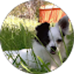 Profile photo of Samantha Riojas