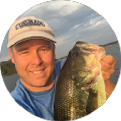 Profile photo of David Ward