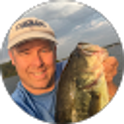 Profile photo of David Ward