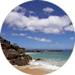 Profile photo of L Le (Lle)