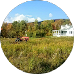 Profile photo of Randy Pratico