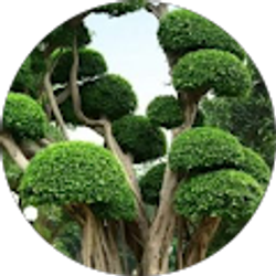 Profile photo of Tania Atayi