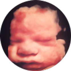 Profile photo of Mauricio garcia