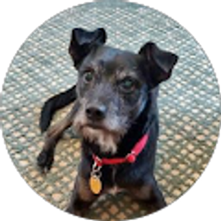 Profile photo of Jennifer Fisher