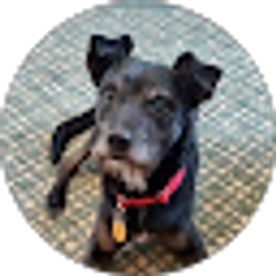 Profile photo of Jennifer Fisher