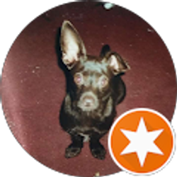 Profile photo of Lili