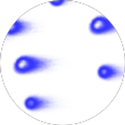 Profile photo of Alexandre ORTHWEIN