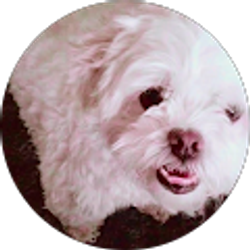 Profile photo of Gail Forster