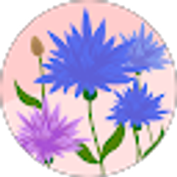 Profile photo of Mrs. Amaral