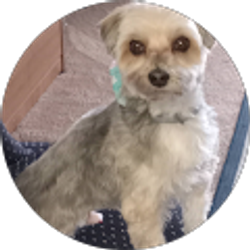 Profile photo of Bonnie McCreight