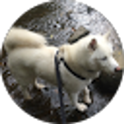 Profile photo of Alexander Sloboda