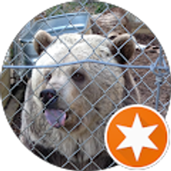 Profile photo of Y P (YP)