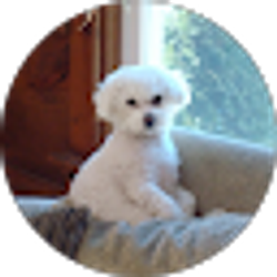 Profile photo of Robin Rowan