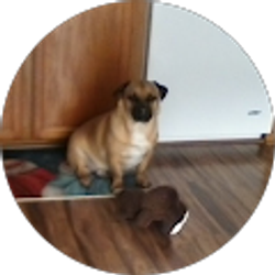 Profile photo of Judi Miller