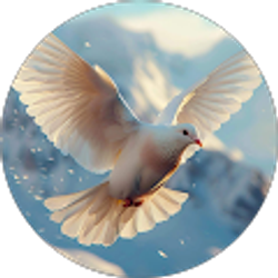 Profile photo of Rose Bloemetjie