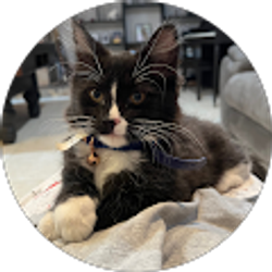 Profile photo of Naomi Gonzalez