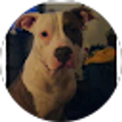 Profile photo of El Bebo