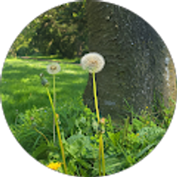 Profile photo of Silvia Ramirez