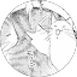 Profile photo of Trâm Nguyễn Ngọc