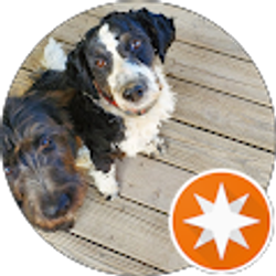 Profile photo of Theresa McMahan