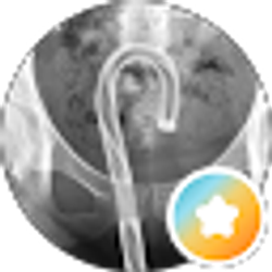 Profile photo of Pat Plesa