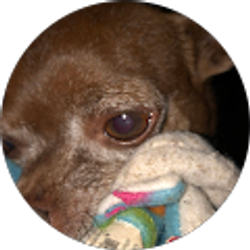 Profile photo of Trina Cobb