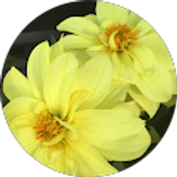 Profile photo of Cp 2