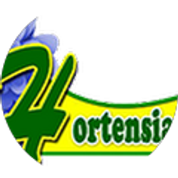 Profile photo of Hortensia Cleaning Service