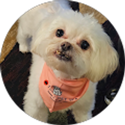 Profile photo of Charles Goodwin