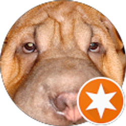 Profile photo of Sesky Z.