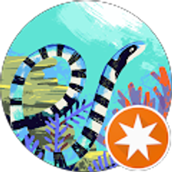 Profile photo of SeaGreen Snail