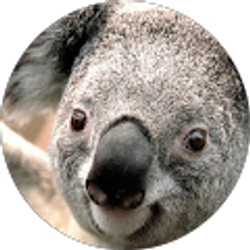 Profile photo of joey omar