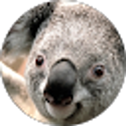 Profile photo of joey omar