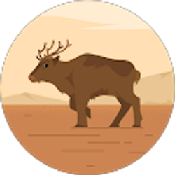 Profile photo of Ethan Ross