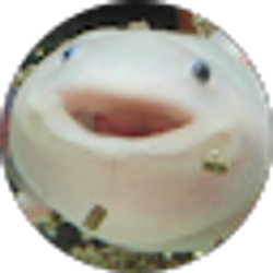 Profile photo of a happy axolotl