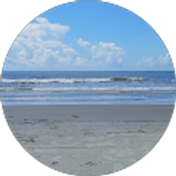 Profile photo of Shirley Shaffer