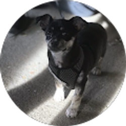 Profile photo of Marilu Vences