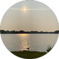 Profile photo of Ari