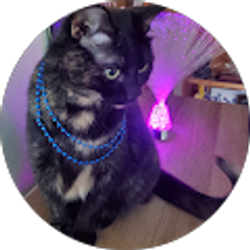 Profile photo of Tony Mengelkoch