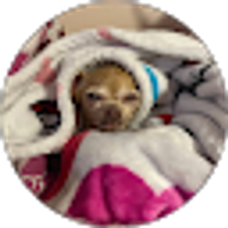 Profile photo of Lizbeth Juarez