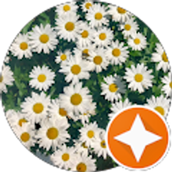 Profile photo of Margie C