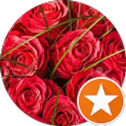 Profile photo of Tanya Odom